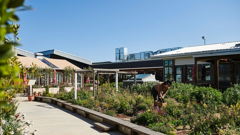 BrickworksLivingBuildingChallenge-rooftop-garden-6