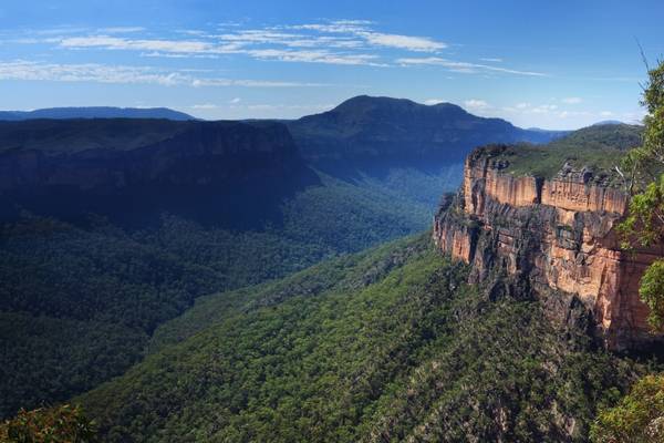 BlueMountains-Bush BlueMountains-Bush