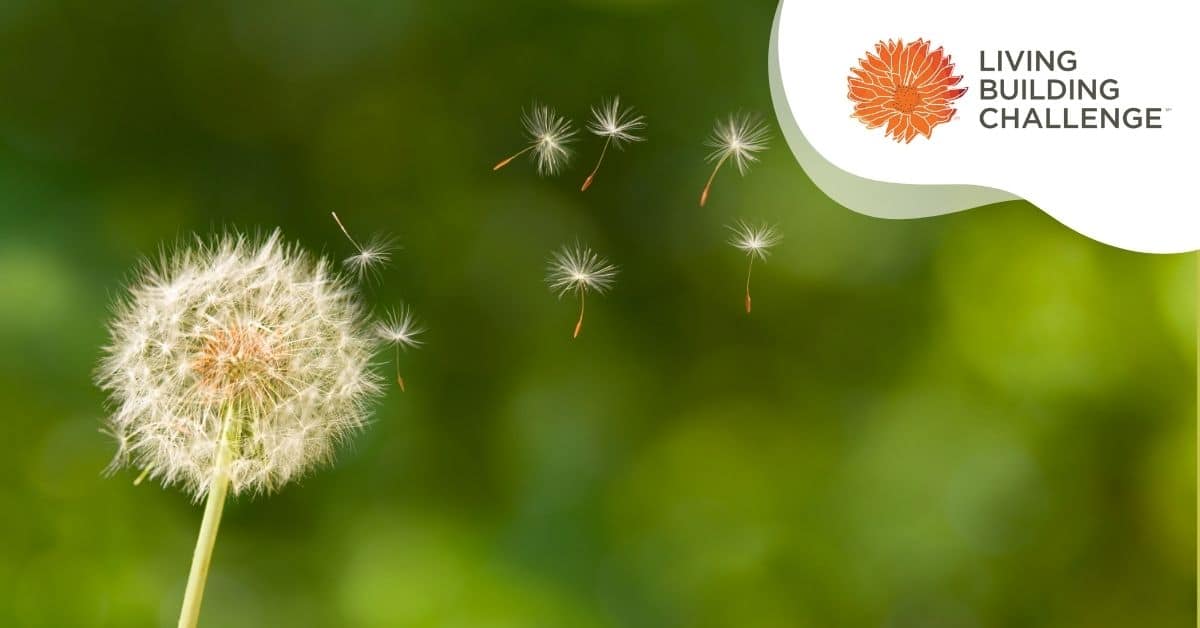 There is a picture of a dandelion with a green background. In the top right corner there is a logo that says Living Building Challenge with an orange flower.